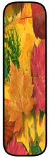 Herbstbuchstabe-5-I.jpg
